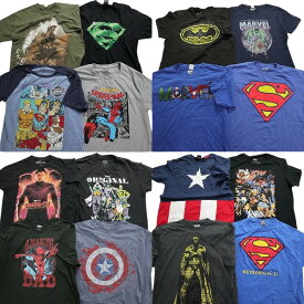 古着卸 まとめ売り マーベル DCコミック 半袖Tシャツ 16枚セット (メンズ L ) スーパーマン スパイダーマン バットマン MT2700