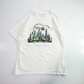 00s Hanes "LEXIS-NEXIS WORLD TOUR" Tシャツ(L) k9255