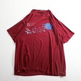 70s USA製 sportswear "Florida Daytona Beach" Tシャツ アニマル(XL) l1753