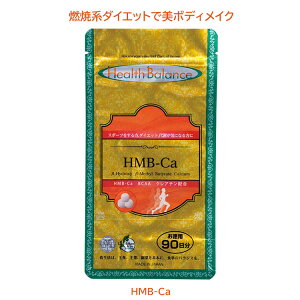 RČn_CGbgE^T|[gTv _CGbgTv HMB-Ca NA`BCAAȂǕK{A~m_z90łIyRCPzyHLS_DUz@{fBCN@ĝ̃C@^s@UP@