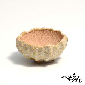 【信楽焼】へちもん ミニ花瓶/花入 山野草鉢 MM618