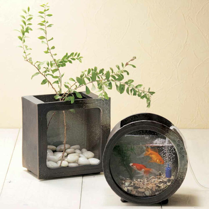 楽天市場】【送料無料】【信楽焼】へちもん 陶製金魚箱・丸型 