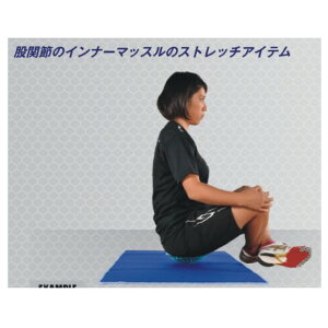 NISHI@jV@PAfBXN@NT7990@e[NɍœK@Ղ𐳂ʒuւ̒AVXg