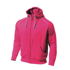 EhE@wundou@hCXEFbgp[J[@P3100-17@uCgsN