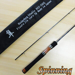 yGAgEgpbhz  XsjOf HAS-56UL