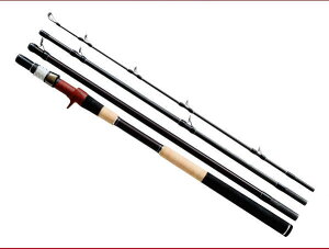 [Fishman/tBbV}] ViBC4 8.3XXXH