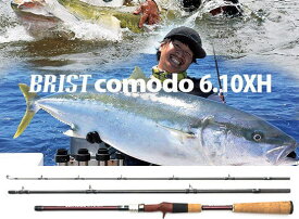 [Fishman/フィッシュマン] BRIST comodo 6.10XH