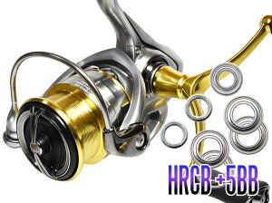 18�t���[���X LT2500S-DH(�_�u���n���h�����f��)�p MAX10BB �t���x�A�����O�`���[�j���O�L�b�g �yHRCB�h�K�x�A�����O�z