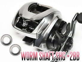 【ダイワ】21ジリオンSV TW用 ウォームシャフトベアリング（+2BB）【SHGプレミアムベアリング】