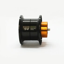 ★特価品10％OFF【ダイワ純正・SLPワークス】RCSB SV 800Sスプール【中サイズ送料】