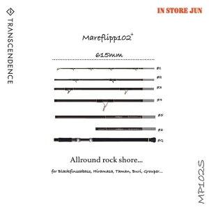 yTRANSCENDENCE/gXZfXzMareflipp 102S / }[tbv