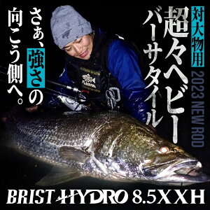 yFishman/tBbV}zBRIST HYDRO 8.5XXHiuXg nChj