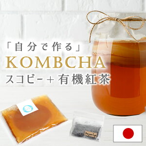 コンブチャクレンズの通販 価格比較 価格 Com