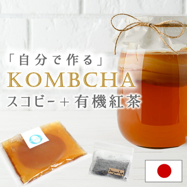 楽天市場 コンブチャクレンズ コンブチャ キット スコビー スコービー 紅茶キノコ 紅茶きのこ マザー Scoby Kombucha 腸活 手作りキット スターターキット 生酵素 乳酸菌 腸内フローラ 発酵飲料コンブチャ スタートキット スコビー 紅茶葉 By Olabo 返品交換不可