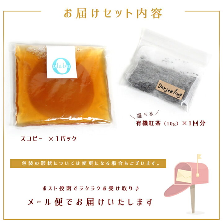 楽天市場 コンブチャクレンズ コンブチャ キット スコビー スコービー 紅茶キノコ 紅茶きのこ マザー Scoby Kombucha 腸活 手作りキット スターターキット 生酵素 乳酸菌 腸内フローラ 発酵飲料コンブチャ スタートキット スコビー 紅茶葉 By Olabo 返品交換不可