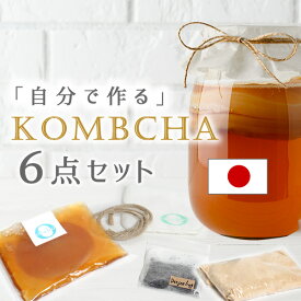 楽天市場 紅茶キノコの通販