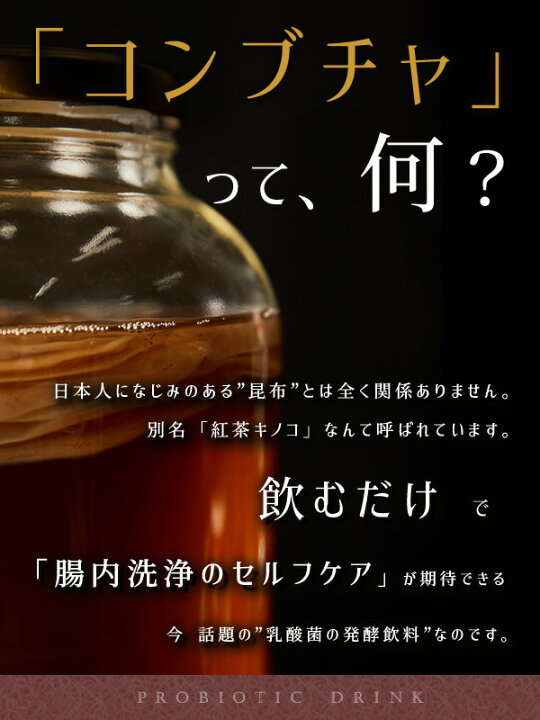 ※ 訳ありスコビー　コンブチャ2リットル作成用　紅茶きのこ