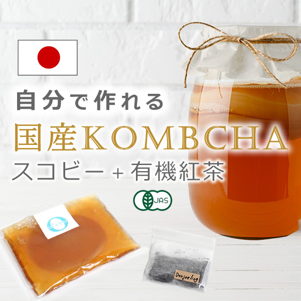 SALE／60%OFF】 コンブチャ キット スコビー スコービー 紅茶キノコ 紅茶きのこ マザー scoby kombucha 腸活 手作りキット  スターターキット 生酵素 乳酸菌 腸内フローラ 発酵飲料<br><br>コンブチャ スタートキット by:Olabo<br> ※返品交換不可 