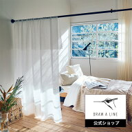 【公式】DRAW A LINE ドローアライン Tension Rod Pro Black ブラック 長さ2m～3m 耐荷重 15kg D-P-BK 平…
