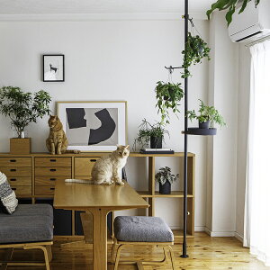 yzDRAW A LINE h[AC ybgƐA SET SET-D-GRNP-BK cp ˂_ Zbg p X^h