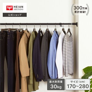yzHEIAN SHINDO ͑^Cv ˂_ őω׏d50kg t@50`280cm zCg }bgubN  b2J[ 4TCY WJ  R[g| J[e  ς_ 2m ȏ 