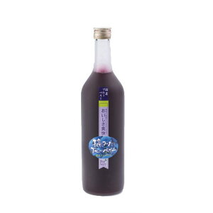 アグリネット琴浦 摘みたてブルーベリージュース(720ml)【国産ブルーベリー】 ハチミツ クエン酸 アントシアニジン アントシアニン
