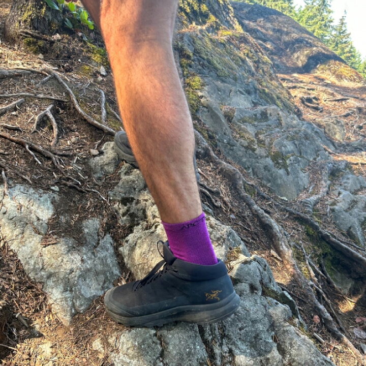 楽天市場】アークテリクス ARC 