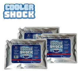 クーラーショック COOLER SHOCK Lサイズ 3個セット アウトドア キャンプ 保冷剤 クーラー 保冷パック クーラーボックス