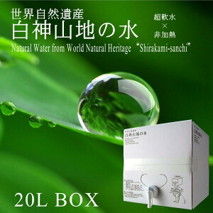 _Rn̐ 20L{bNXipRbNtj1P[X X Yn VR i`~lEH[^[ _R