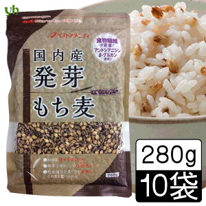 (55)Y (_CV`) 280g [2܁E5܁E10]  G Y  ՂՂH  xXgAjeB