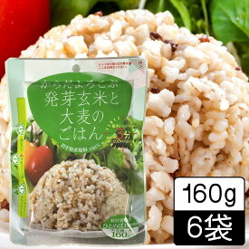 ＼スーパーSALE限定★エントリーでP5倍！／(55)[6袋] レンジご飯 発芽玄米と大麦のごはん 160g×6袋　レトルトごはん レンジ ご飯 パック 国産 岩手県 ごはん 玄米