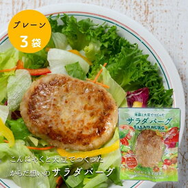 (55)[3袋]蒟蒻と大豆でつくった サラダバーグ 90g×3袋 送料無料常温 グルテンフリー ヴィーガン 健康 高たんぱく質 低カロリー 低脂肪 低糖質 食物繊維 ロカボ 大豆ミート ソイミート フェイクミート 茂木食品工業