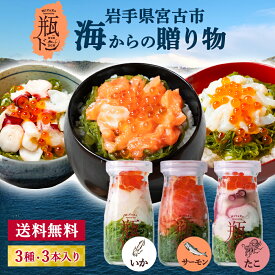 瓶ドン 3本セット(たこ・サーモン・いか 各1本)　ギフト 冷凍 岩手県 宮古市 三陸 川秀クール便でお届け 短冊熨斗対応 【クール便でお届け】 お中元