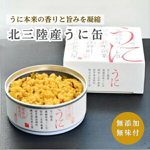  Ɋ 90g [1 / 2] G Y t 茧m쒬s Yn kOY O CN Ej Ej ʋl ۑ(146) y퉷ł͂z