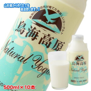 Ĉރ[Og 500ml [1{ / 10{]  ރ[Og R` c Yn [OgH[C(299)