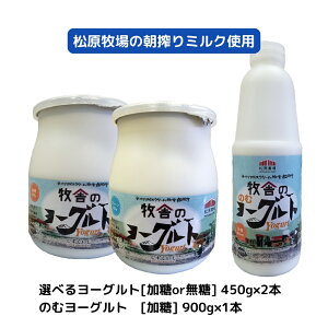 (345)【選べる450gx2個+1本】牧舎のヨーグルト(加糖・無糖) 450g×2個 のむヨーグルト900ml×1本 松ぼっくり 乳酸菌H61株