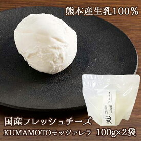 (357)[2袋] KUMAMOTOモッツァレラ 100g×2袋 九州 熊本 産直 産地直送 石坂ファーム フレッシュチーズ モッツァレラチーズ 熊本県産生乳100％使用 MARS マース