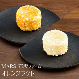 【全品P2倍★マラソン限定】[2個] オレンジラクト (甘夏・不知火) 80g×各1個 マース MARS 石坂ファーム しらぬい あまなつ フレッシュチーズ デザートチーズ 柑橘 みかん 熊本 お取り寄せ 産直 (357)