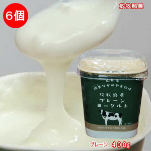 (331)[6]q_v[[Ogij400g×6 R` іLȂ߂ܖq _T 