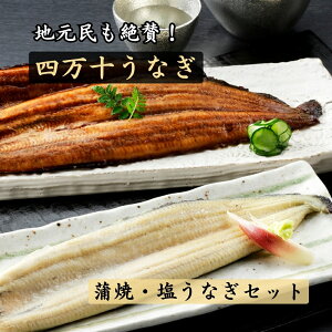 l\Ȃ UNAGI  110g×2{  Ȃ 140g×1{ Hה׃Zbg ܂ƕS΂ς mY Ⓚ t yp̉N̓ Ă   蕨 lΉ (427)