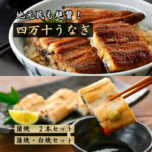 l\Ȃ [ UNAGI  110g×2{ ] [ UNAGI  110g×1{E 120g×1{ ] Hה׃Zbg ܂ƕS΂ς mY Ⓚ t yp̉N̓ Ă Ă  蕨 lΉ
