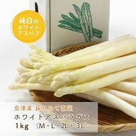 朝採れ 会津産 ホワイトアスパラガス [1kg] M・L・2L・3Lサイズ (長さ25〜26cm) 国産 産直 野菜 旬 産地…