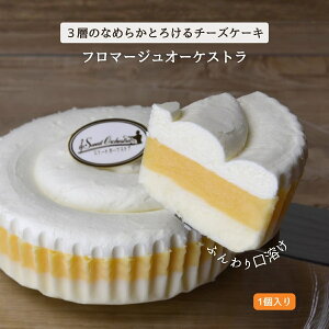 XC[gI[PXg t}[WI[PXg 300g×1 [Ⓚ] 炭 kCDys A`[YP[L J XC[c mَq