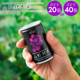 果汁100%ジュース 山形代表 ぶどう 160g缶×20本 [1ケース・2ケース] サン＆リブ 山形食品 山形から直送 グレープジュース 葡萄 送料無料