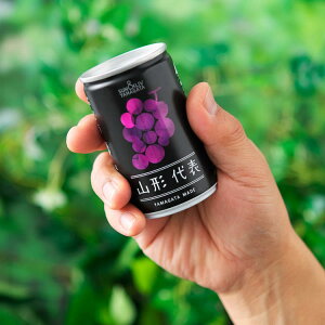 (155)[1] ʏ`100%W[X R`\ Ԃǂ 160g×20{  R`璼 O[vW[X 