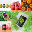 (選べる2箱) 山形代表 [ 20本入 2ケース セット ] フルーツ ジュース ストレートジュース 缶 サン＆リブ 山形食品 飲料 子供 幼稚園 小学校 景品 レジャー 飲みきりサイズ まとめ買い ケース おしゃれ ギフト 内祝 熨斗対応 送料無料