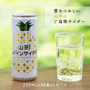 【20％OFF★在庫限り】山形県のご当地サイダー 山形パインサイダー 250ml×30本入×1ケース サン＆リブ 山形食品 送料無料 30缶 (155)