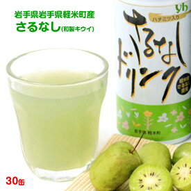 楽天市場 サルナシ 挿し木の通販