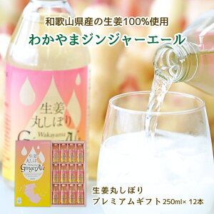 Iۂڂ 킩܃WW[G[ v~AMtg250ml×12{ JA킩 Wakayama Ginger Ale a̎R r Y_ W[X Y V傤 I WW[ 