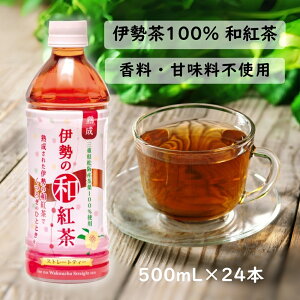 Xg[geB[ ɐ̘ag 500mL×24{ [1P[XE2P[X]  Ods ɐ100 Yt g ybg{g ACXeB[ mVK[ }VF